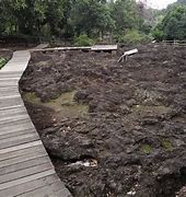 爱游戏体育-&quot;火山脚下的猜谜赛：融合观光与运动&quot;的简单介绍