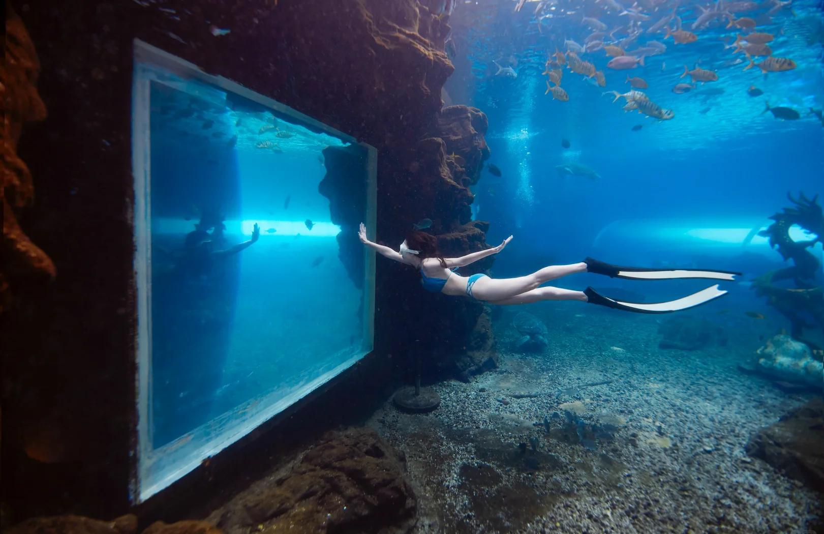 爱游戏注册入口-星空水晶潜水节，探索海底奇幻的夜光世界的简单介绍