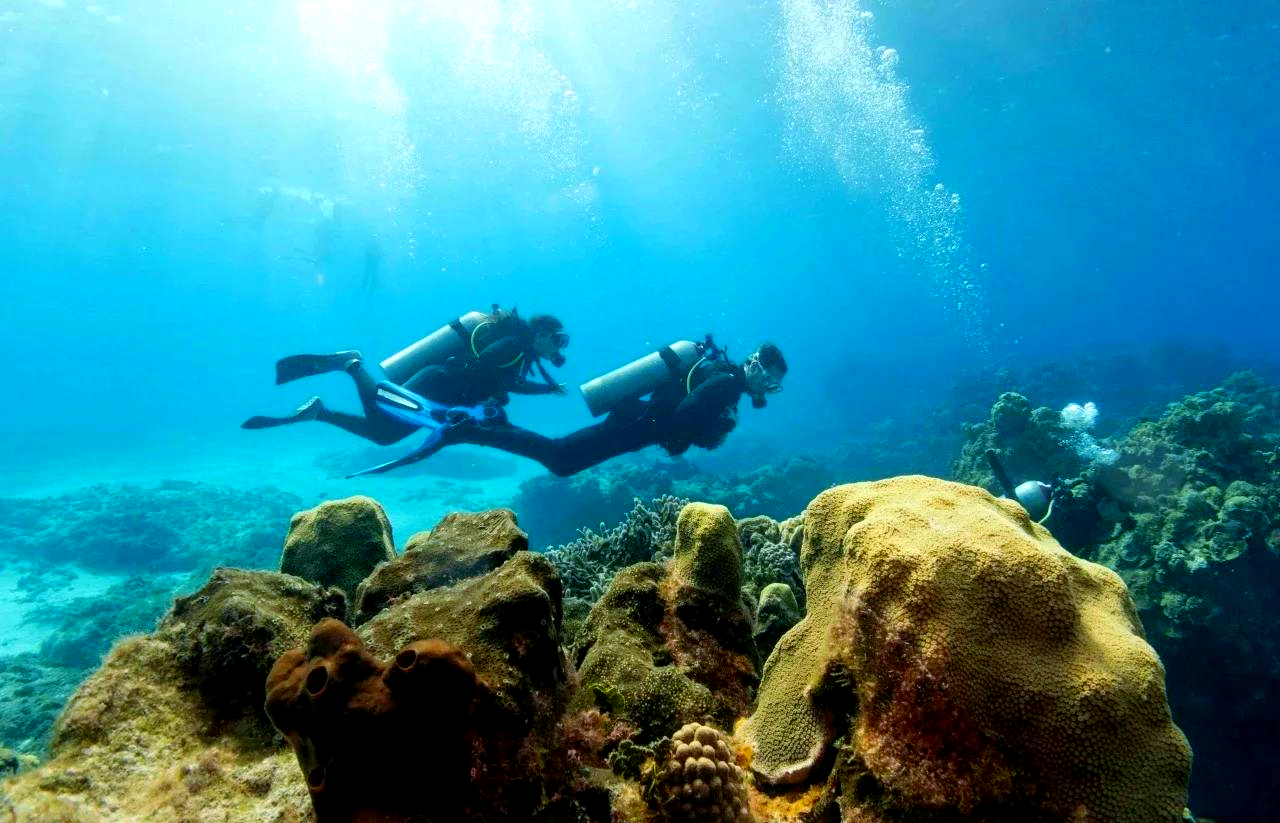 星空水晶潜水节,探索海底奇幻的夜光世界的简单介绍 星空水晶潜水节,探索海底奇幻的夜光世界的简单介绍