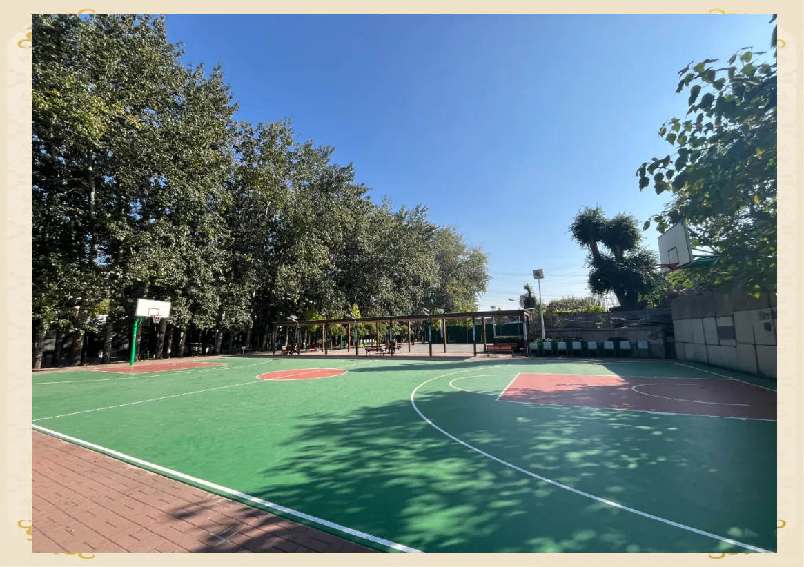 爱游戏下载-包含城市社区篮球场分布不断优化，推动全民健身普及化的词条