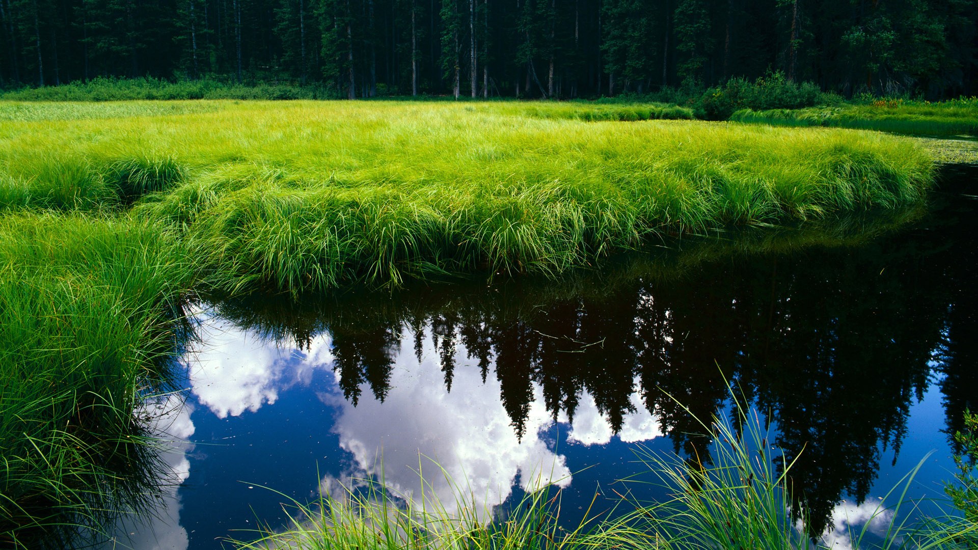 亚眠前锋传射频繁,火力逐渐恢复正常,亚眠对梅斯的比分预测