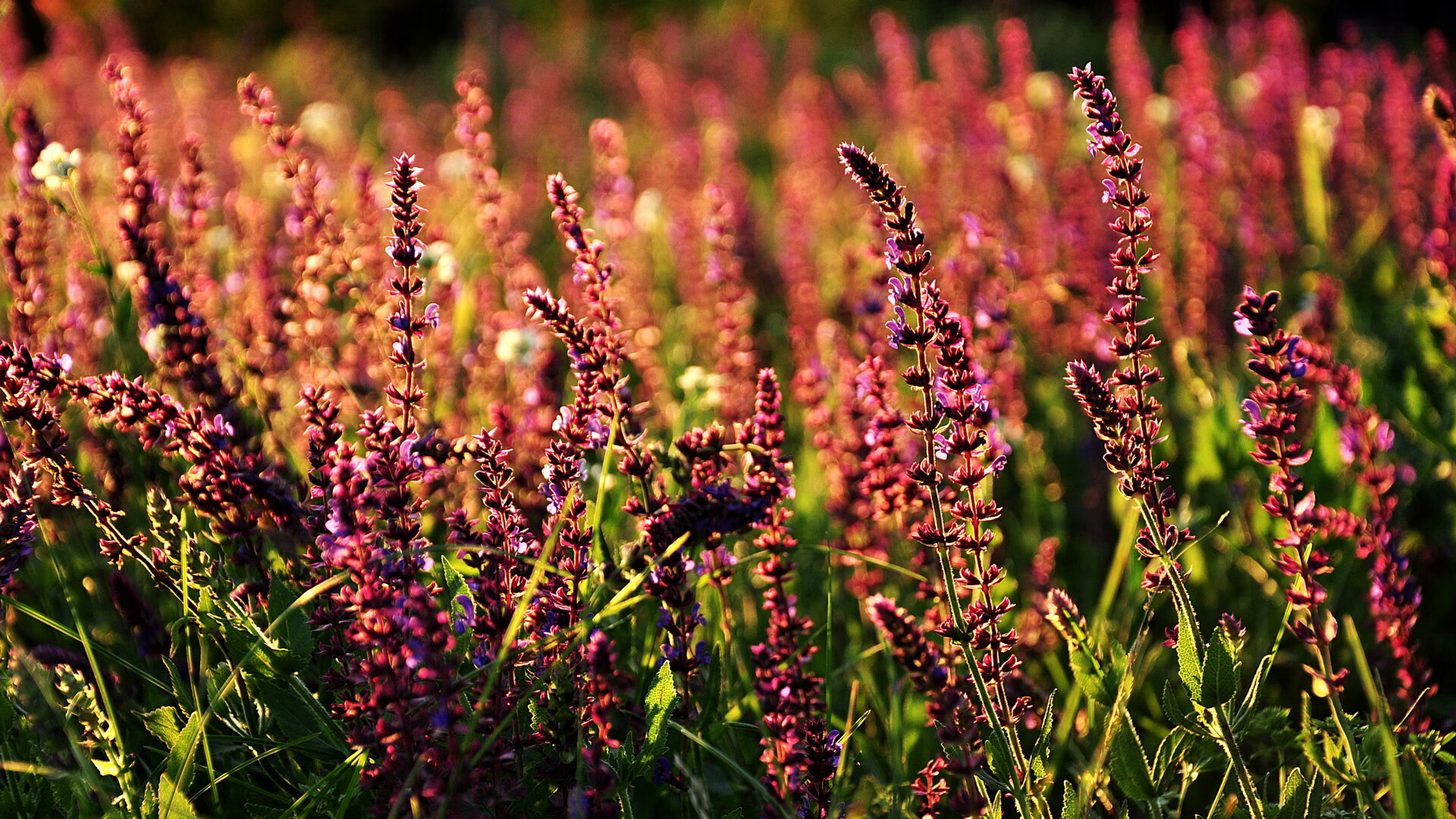 巴萨客场3-1战胜毕尔巴鄂竞技,豪取四连胜,巴萨3_0