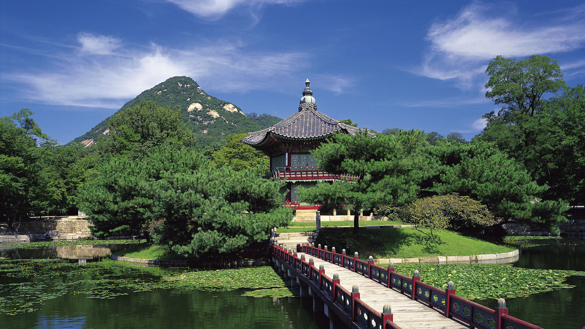 猛龙队主场负于雄鹿队,遭遇连败,猛龙队主场负于雄鹿队,遭遇连败是真的吗