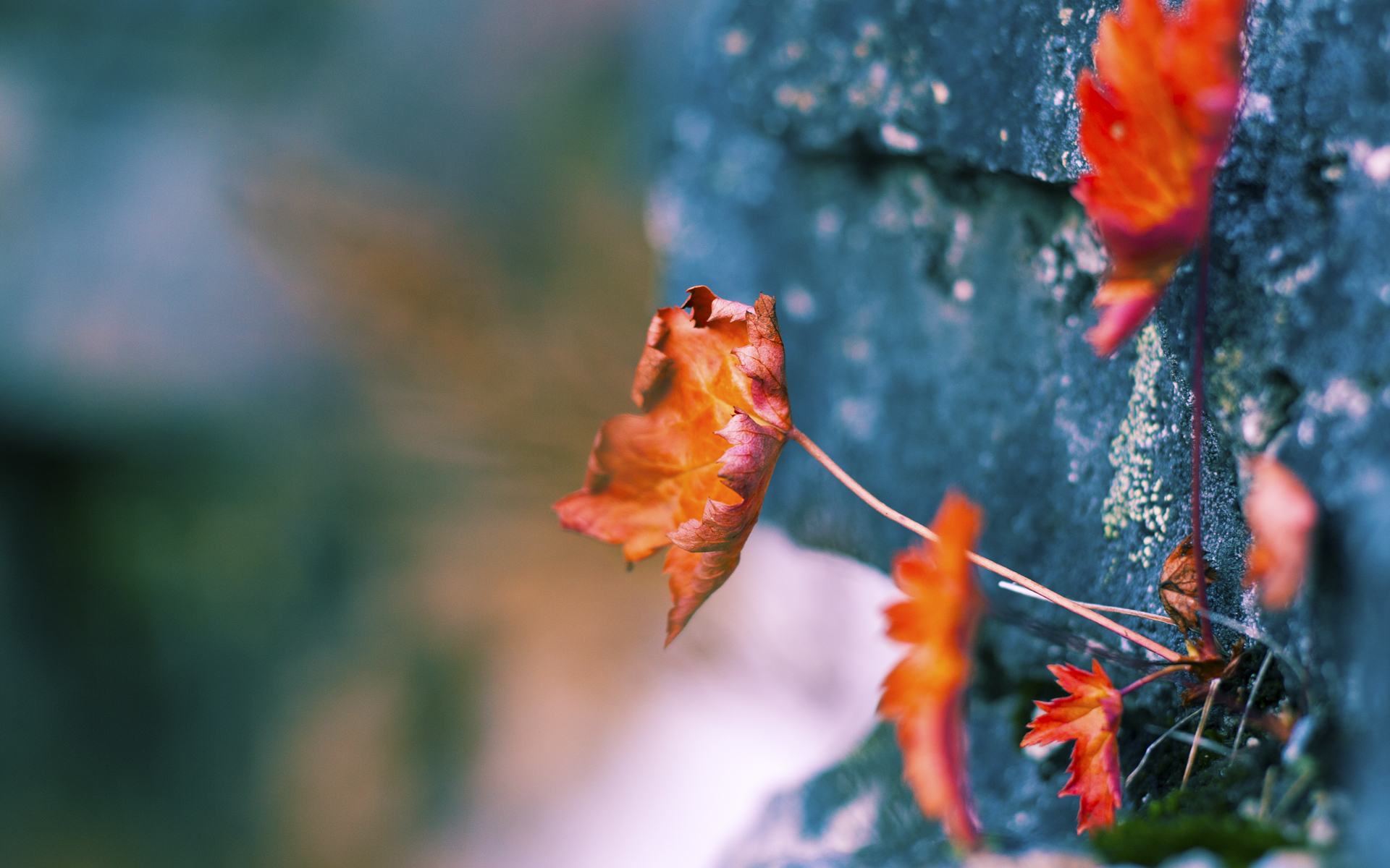 明星运动员公益行动广受好评,明星公益活动有哪些