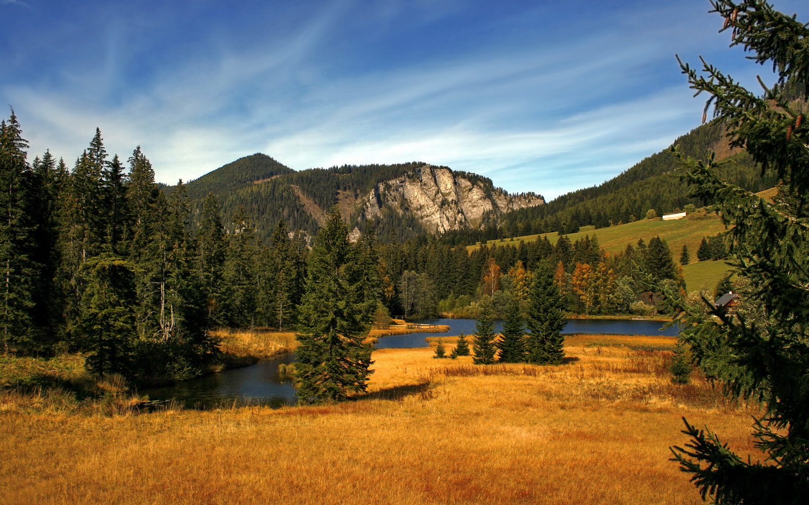 爱游戏官方网站-冬季两项运动员集训情况，冬季两项运动员集训情况分析