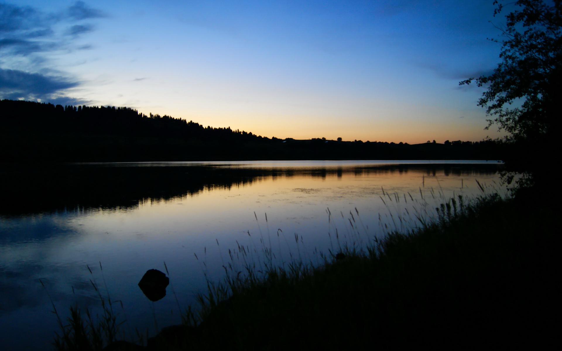 爱游戏APP-斯滕伯根决赛表现引发热议，斯滕伯格的书