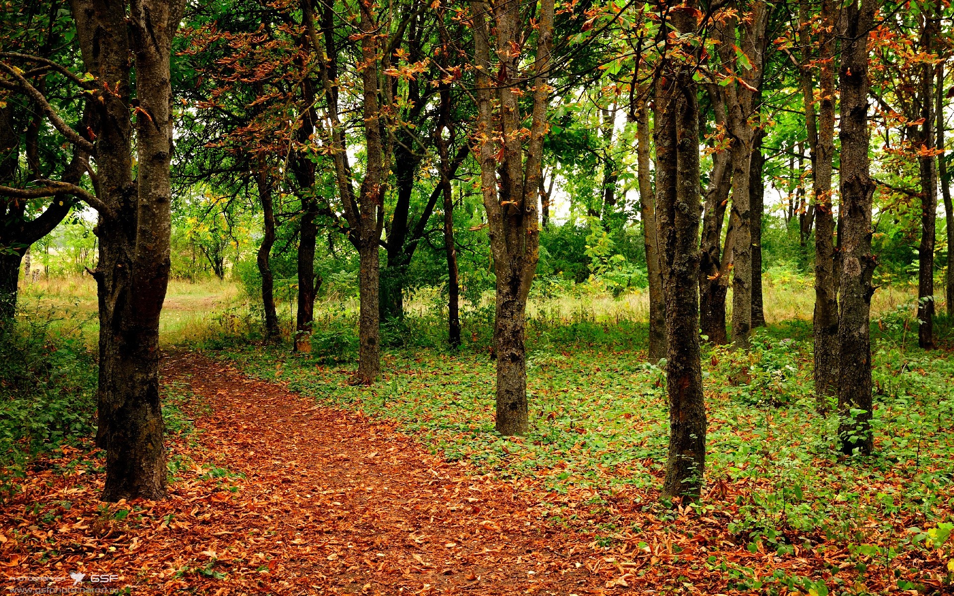 爱游戏线上-查默斯决赛表现赢得教练高度评价，查默斯理工大学