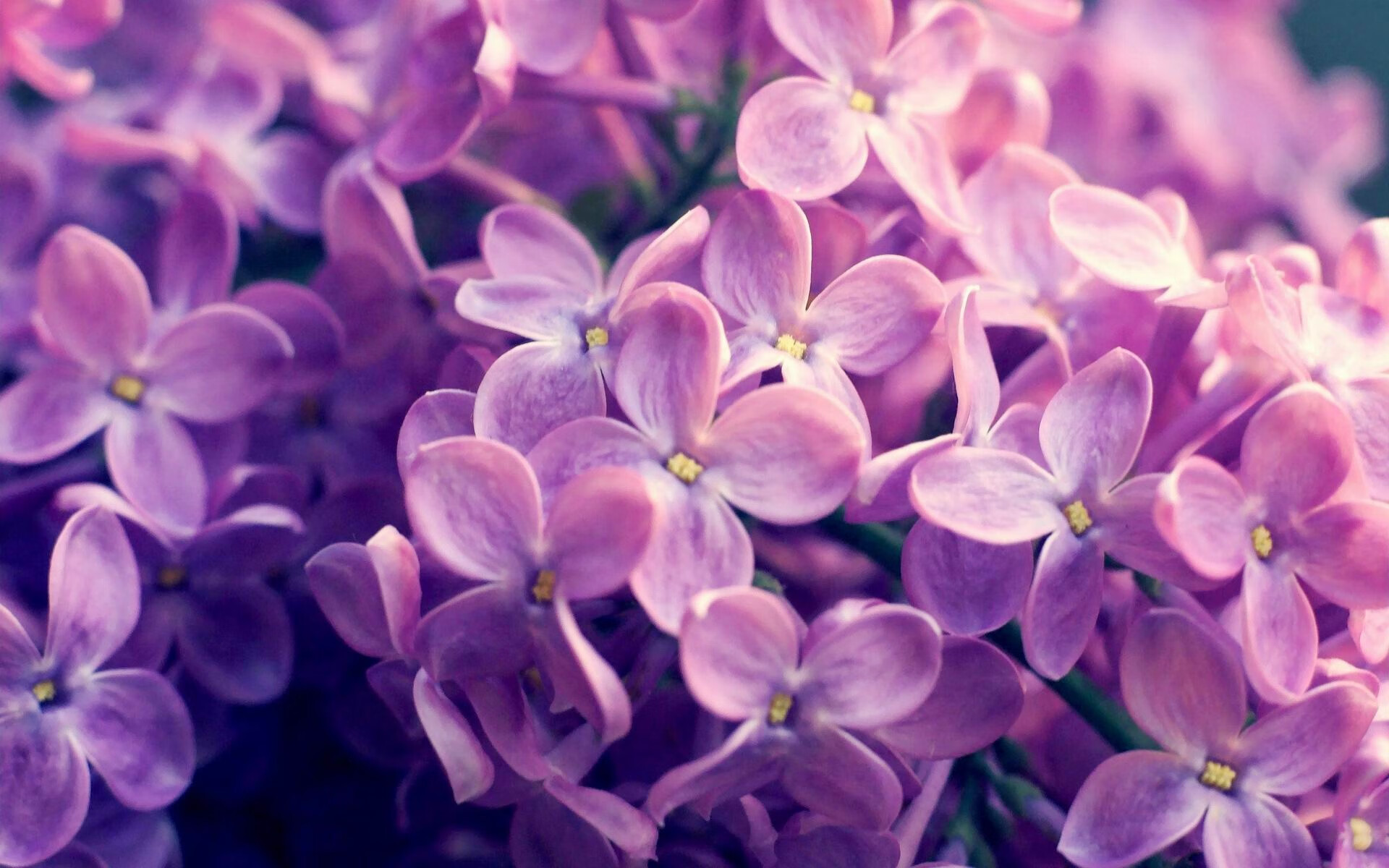 爱游戏娱乐-球队通过心理辅导缓解比赛压力提升临场决策与专注力，足球心理训练对于青少年球员产生的影响