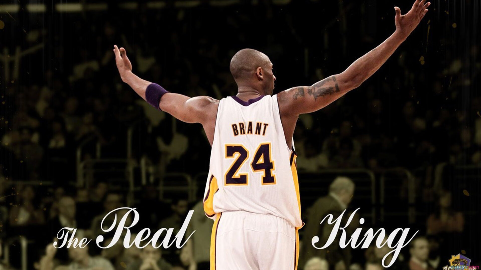 爱游戏全站-《双赢合作：企业跨界助力电竞产业发展》，双赢共进